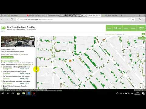 Карта дерев Нью - Йорку| New York City Street Tree Map |