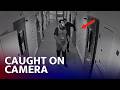"Where Are The Drugs?": Violent Gang Attacks Innocent Family