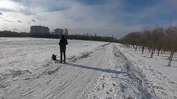 Low latency DJI fpv system first test