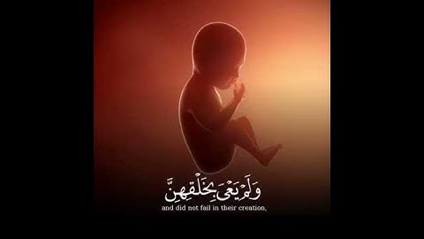 سبحان الخالق/ تلاوة خاشعة
