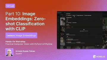 Part 10 - Image Embeddings | Lesson: Image Embeddings