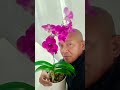 #wow col.bosita,raffy tulfo,  Dela rosa election may.12,2025 burgos montalban Rizal philippines 🇵🇭