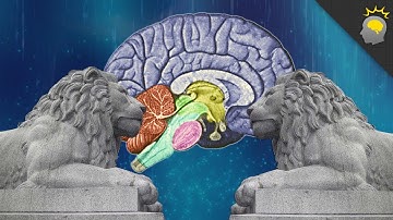 Constructing a Memory Palace - Epic Science #27