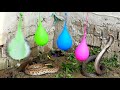 नाग और घोनस सांप का गुस्सा: Snake Bite Slow Motion Cobra and Russell's Viper
