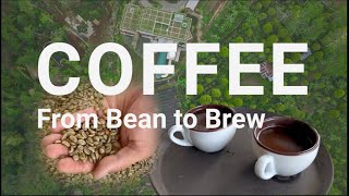The Quest for Perfect Coffee - From Bean to Brew | Bali | Munduk Moding Coffee Plantation Tour