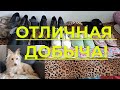 Вот так добыча! Посчастливилось принести хорошую находку