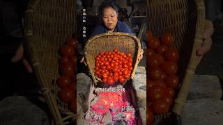 Download Lagu Chinese Aunt’s Bizarre Tomato \u0026 Live Fish Cooking Method Will Shock You! #shorts #ytshorts MP3 Download Lagu Chinese Aunt’s Bizarre Tomato \u0026 Live Fish Cooking Method Will Shock You! #shorts #ytshorts MP3