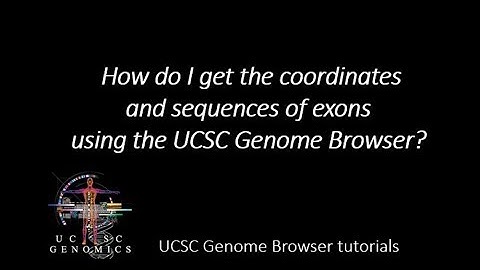 How do I get the coordinates and sequences of exons using the UCSC Genome Browser
