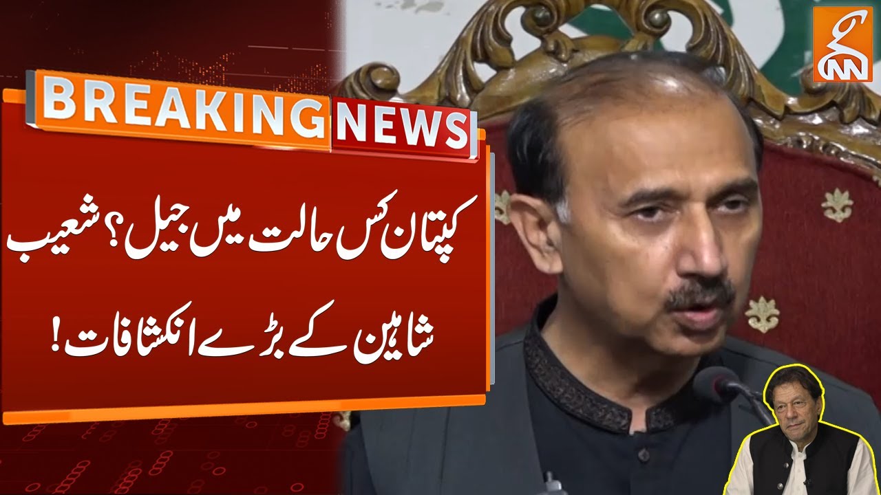 Watch Shoaib Shaheen Disclosed Current Situation Of Imran Khan In Jail Watch Shoaib Shaheen Disclosed Current Situation Of Imran Khan In Jail