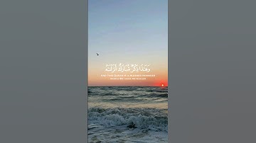 تلاوة من سورة الأنبياء 🌹قرآن كريم 🌹القارئ إسلام صبحي 🌹