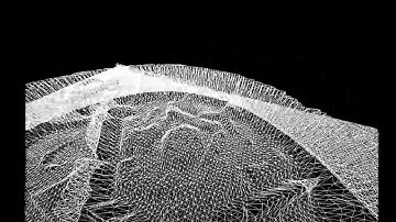 First Flyover of Client RE Physics