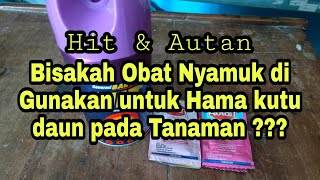 Bisakah Obat Nyamuk Hit & Autan di Pakai dari segi pengendalian hama kutu daun pada Tanaman ??? screenshot 3