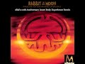 Rabbit in the Moon - Out of Body Experience (Allai's Inner Body Experience MM Remix)