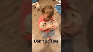Your Newborn puppy is Crying... But Never Do This