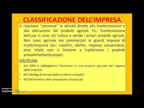 L&rsquo;IMPRENDITORE E LA CLASSIFICAZIONE DELLE IMPRESE