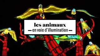 2 minutes avec les animaux en voie d'illumination au Jardin des Plantes