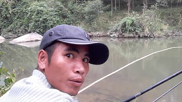 Cách móc trùn cắm câu cá lóc, trùn lâu chết cá gập đớp liền