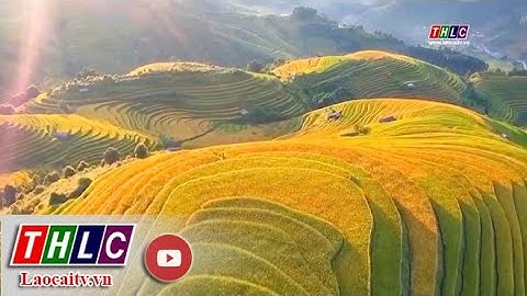 Mù Cang Chải – Yên Bái: Đổi mới, sáng tạo trong phát triển du lịch | THLC