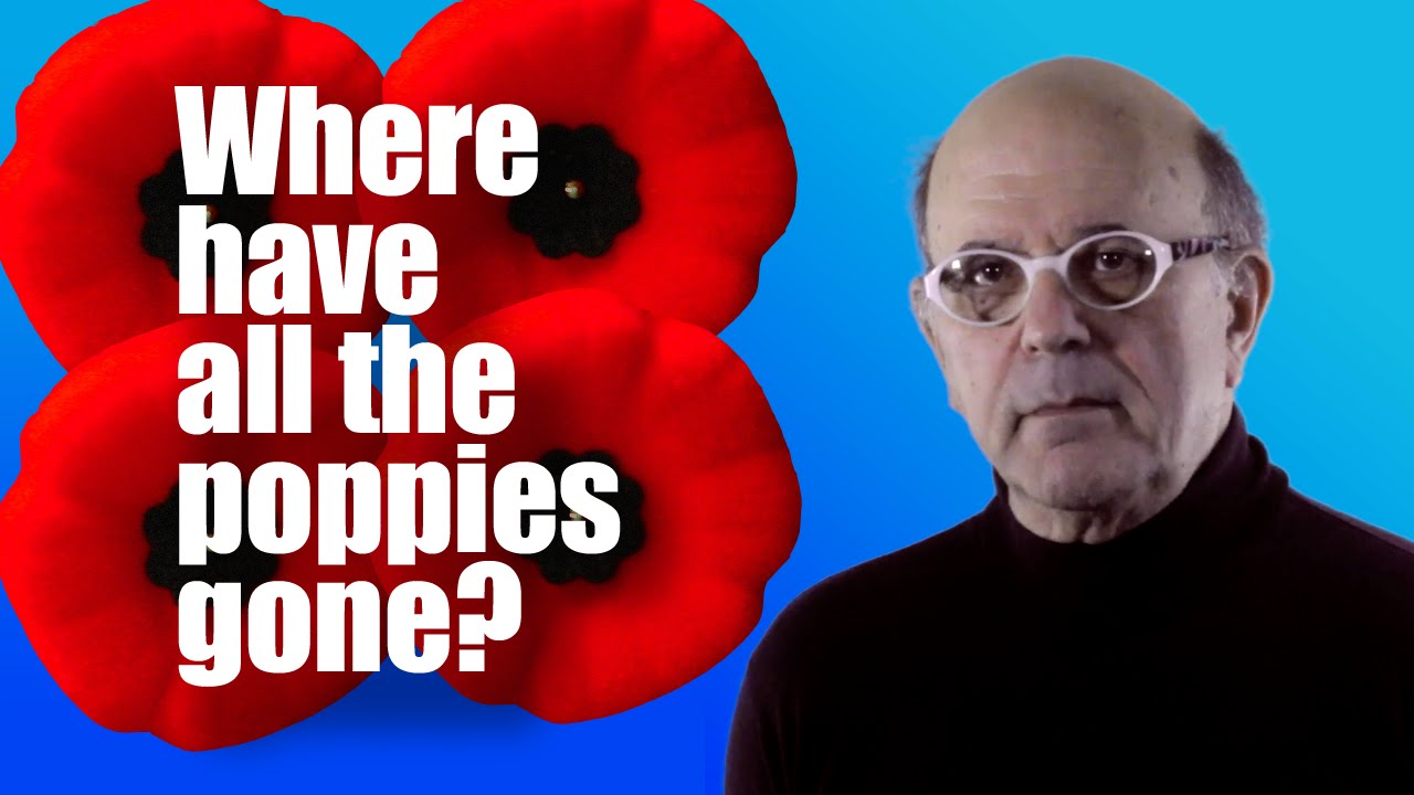 Where Have All The Poppies Gone?