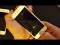 ALL IPHONES 4,5,6,PLUS : How to Fix a Blank Display, Black Screen, Wont Turn On?