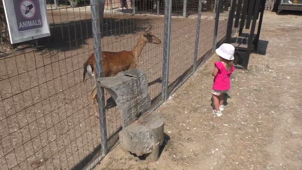 Greece - Kos - Minizoo (Troulos)