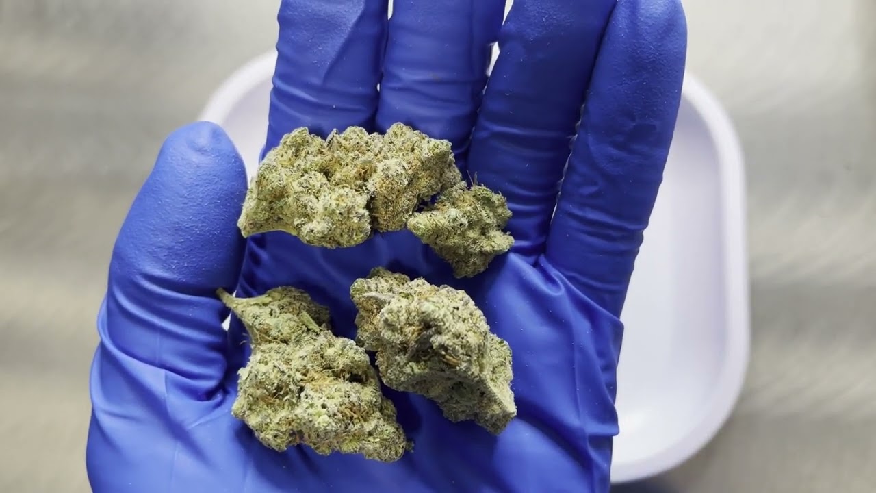 Perch Harvests Gelato Unboxing