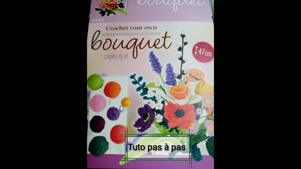 Lonsien Débutants Kit Complet de Tricot kit crochet debutant Kit de Crochet Amigurumi avec Laine à Crochet et Vidéo pour Adultes et Enfants menthe poivrée