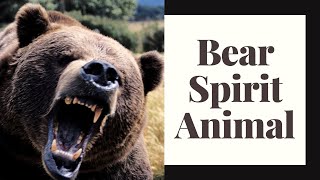 Bear Spirit Animal Profile