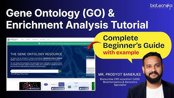 Gene Ontology (GO) & Enrichment Analysis Tutorial | Complete Beginner’s Guide With Example
