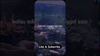 Download Lagu Semoga Allah selalu memberikan kita kesabaran. #sabar #ujianhidup #doamustajab #ustadzadihidayat MP3