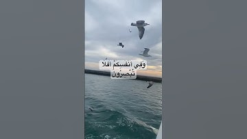 سورة الذاريات الاية ٢٠ حتى ٢٢