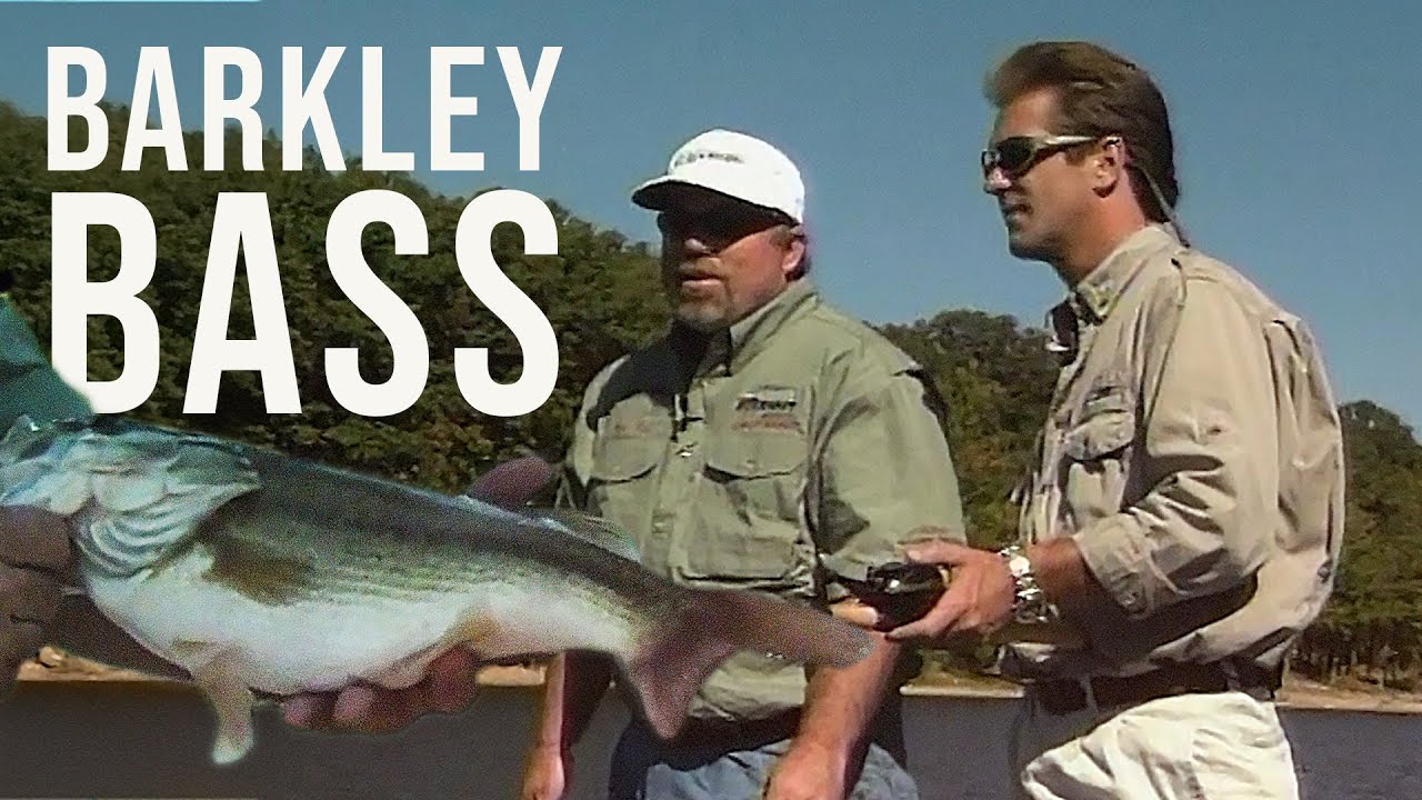 90's Lake Barkley Bass Fishing