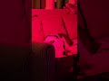 Red light therapy. #dog #dogs #dogshorts #puppy #bully #pitbull #bulldog #pittie #achilles #pittie