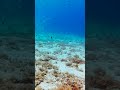 Ride on a Bike under the water