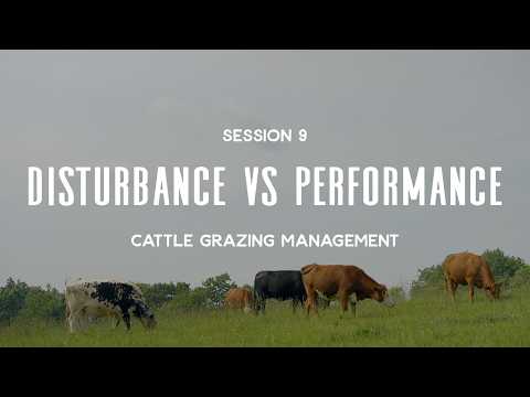 Cattle Grazing Management Session 9: Responses to the Disturbance - Performance Tension