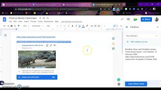 Works Cited Tutorial on Google Docs