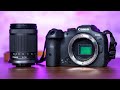 Canon EOS R7 Review: Best sports & wildlife mirrorless camera!