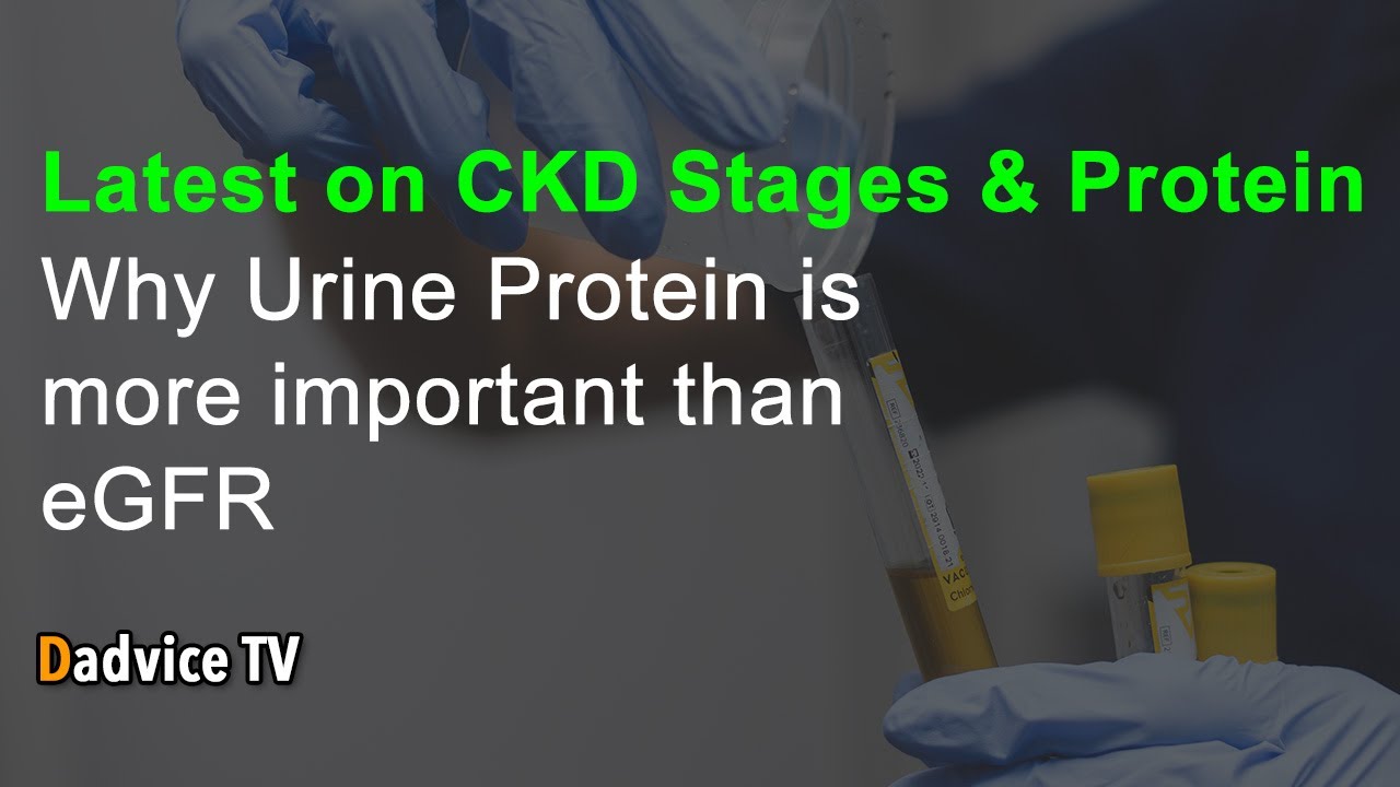 CKD Stages and Urine Protein