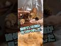 猫のけだまだまを作って感じたこと