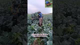 Remote Control Ground Spraying Vehicle For Farming China Manufacturer Factory