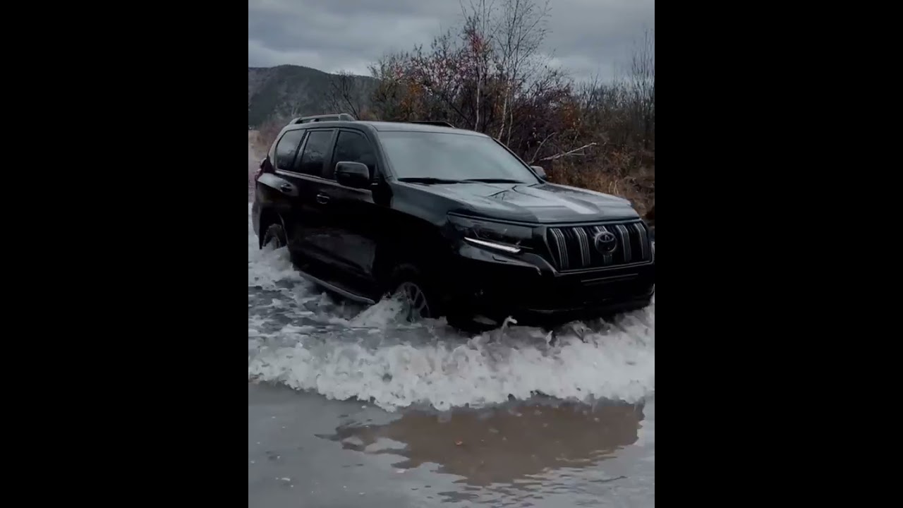 Landcruiser Prado & Lexus Lx570 by Pigglin
