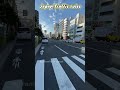 😳ஜப்பான் மக்கள் இவ்ளோ நல்லவங்களா🙄🤔?🚦ஜப்பான் Traffic Rules! Japan traffic rules🚦🚸 #myfamilyinjapan