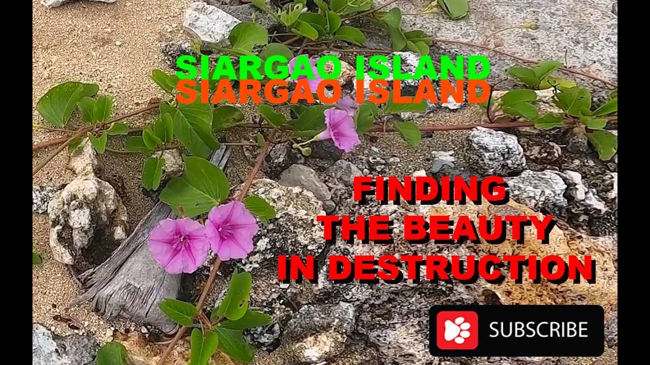 The Great South Bound Adventure Siargao Island Tour Typhoon Damage Everywhere Episode16