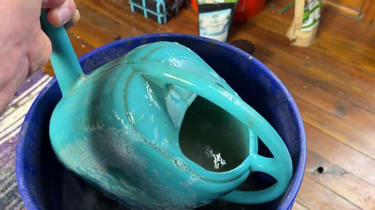 Автоцветущие сорта Buttchugging