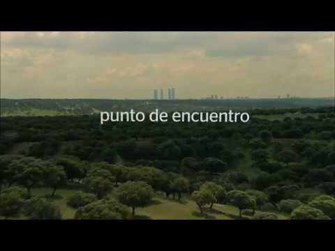 Apertura Madrid BBVA