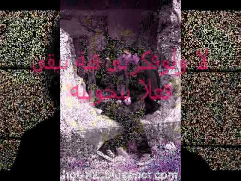 هاني شاكر بتحبيه