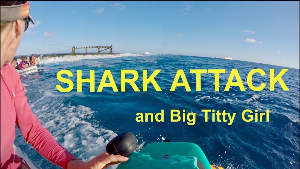 Shark Attack and "Big Titty Girl"