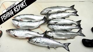 Really Good Fishing Closer Than You Think! | Lake Michigan Fishing Report 6-26-26