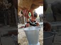 Small Girl H33ygty Song Love Funny Small Girl H33ygty Song Love Funny