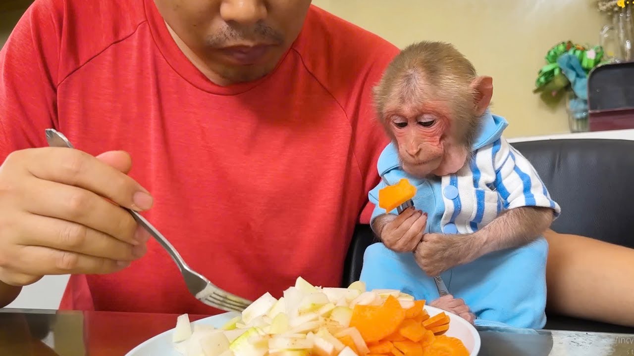So Delicious! Monkey Bibi Loves Dad’s Simple Salads Made with Lots of Love 🐒🥗❤️
